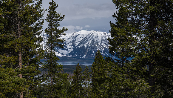 The Grand Tetons from the top of Signal Mountain