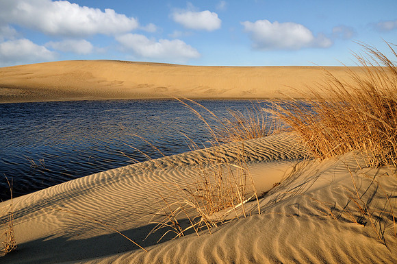 Jockey's Ridge at Sunrise