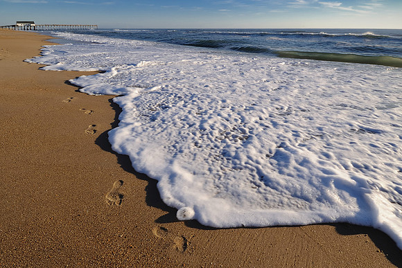 Early morning footprints, Kitty Hawk, NC