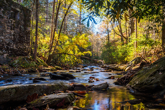 On the trail to Catawba Falls in Old Fort, NC