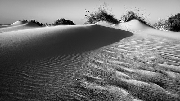 Sand dunes and evening shadows