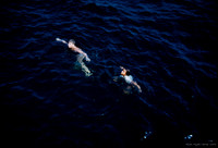 Allen Hyde Center's Provincetown photos. September 1953.