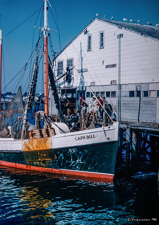 Robert Charles Birkemeier's Provincetown photos. 1961.