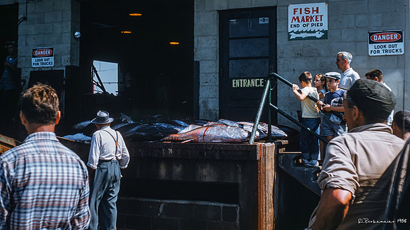 Robert Charles Birkemeier's Provincetown photos. August 1958.