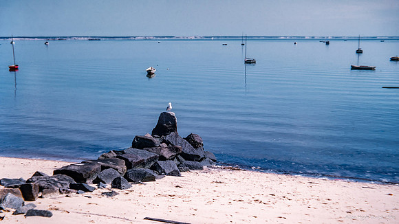 Allen Hyde Center's Provincetown photos. September 1953.
