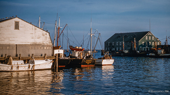 Robert Charles Birkemeier's Provincetown photos. August 1958.
