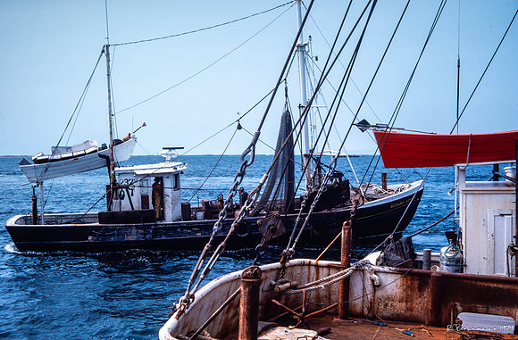 Robert Charles Birkemeier's Provincetown photos. 1979.