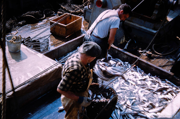 Allen Hyde Center's Provincetown photos. September 1953.