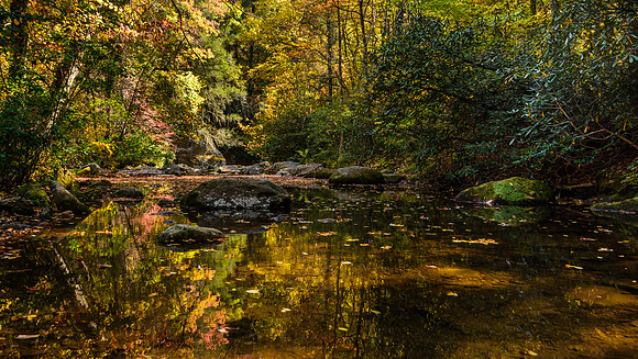 Along the Hemlock Nature Trail at South Mountains State Park