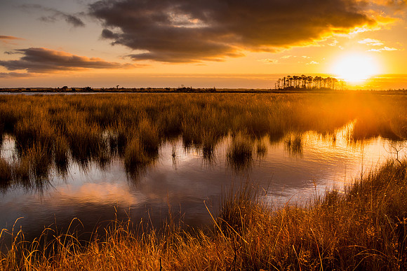 The sun explodes over the Roanoke Island Marsh Game Land