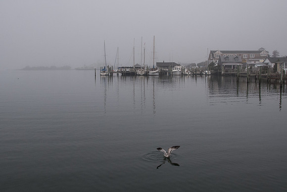 Silver Lake in the fog