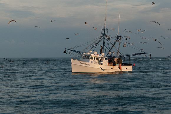 Returning home after a good day on the water