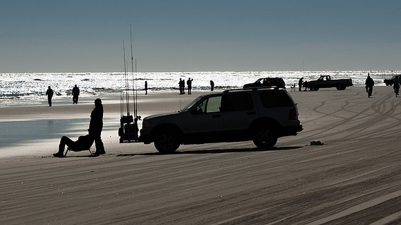 Surf Fisherman, Early Light