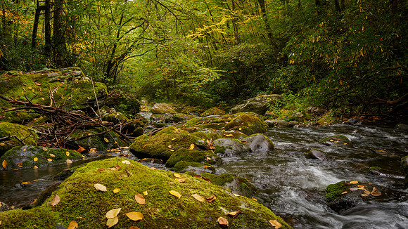 Hiking the Little Cataloochee Trail