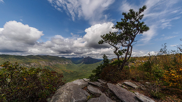 The view from Shortoff Mountain, NC