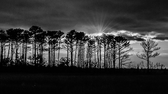 Sunrise over the Roanoke Island Marsh Game Land (B&W)