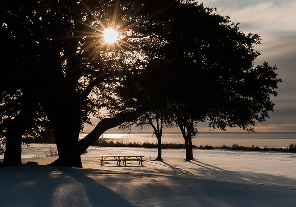 The sun sets through a Live Oak tree after a rare snowfall,  Corolla, NC