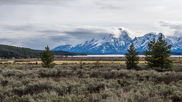 The Grand Tetons